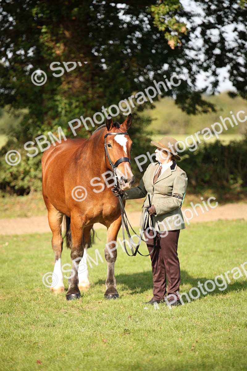 SBM_61213 - S54 - Show Cob In Hand