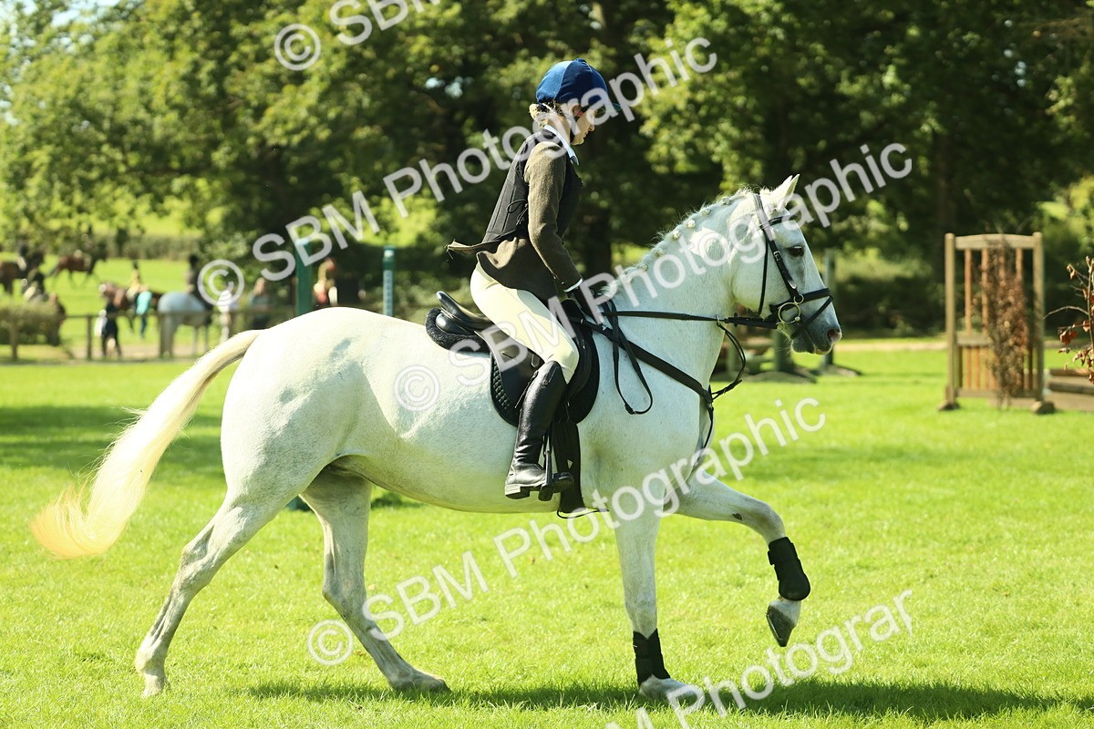 SBM_39274 - S29 - Novice & Newcomers Working Hunter Pony