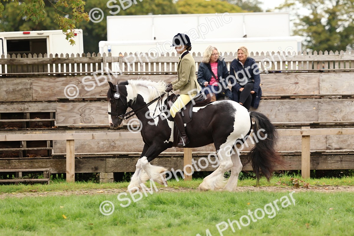 SBM_64507 - S58 - Coloured Pony Ridden