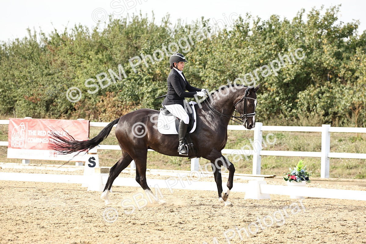 SBM_016247 - Class 10 - Advanced Medium 5