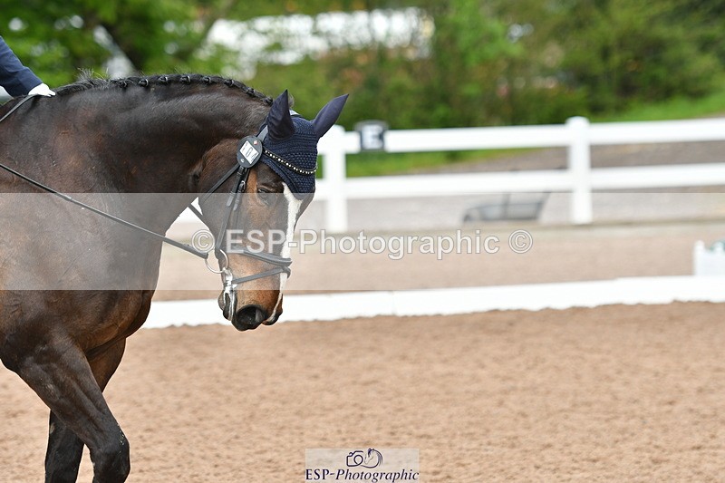 230511A-143936-00964 - BD Cls 14 Adv Medium 98