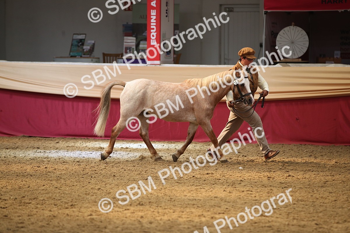 SBM_05384 - Class 8R - Regional IH Veteran