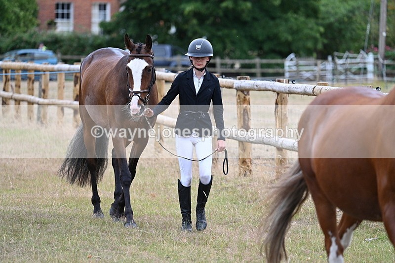 WJ7_9042 - Class 4a Prettiest Mare 14.2hh and over