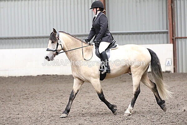 SIAL5208 - CAbin Dressage 5th july 2025