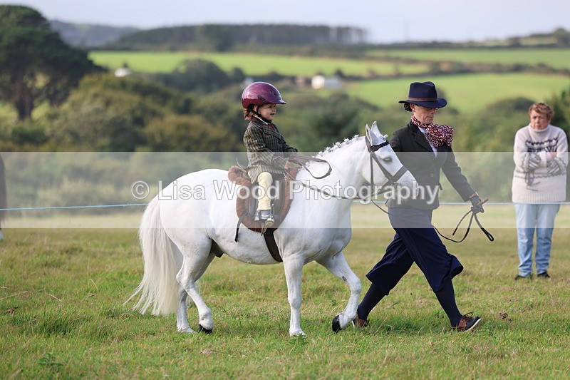 3E7A3343 - Class 2: Lead rein