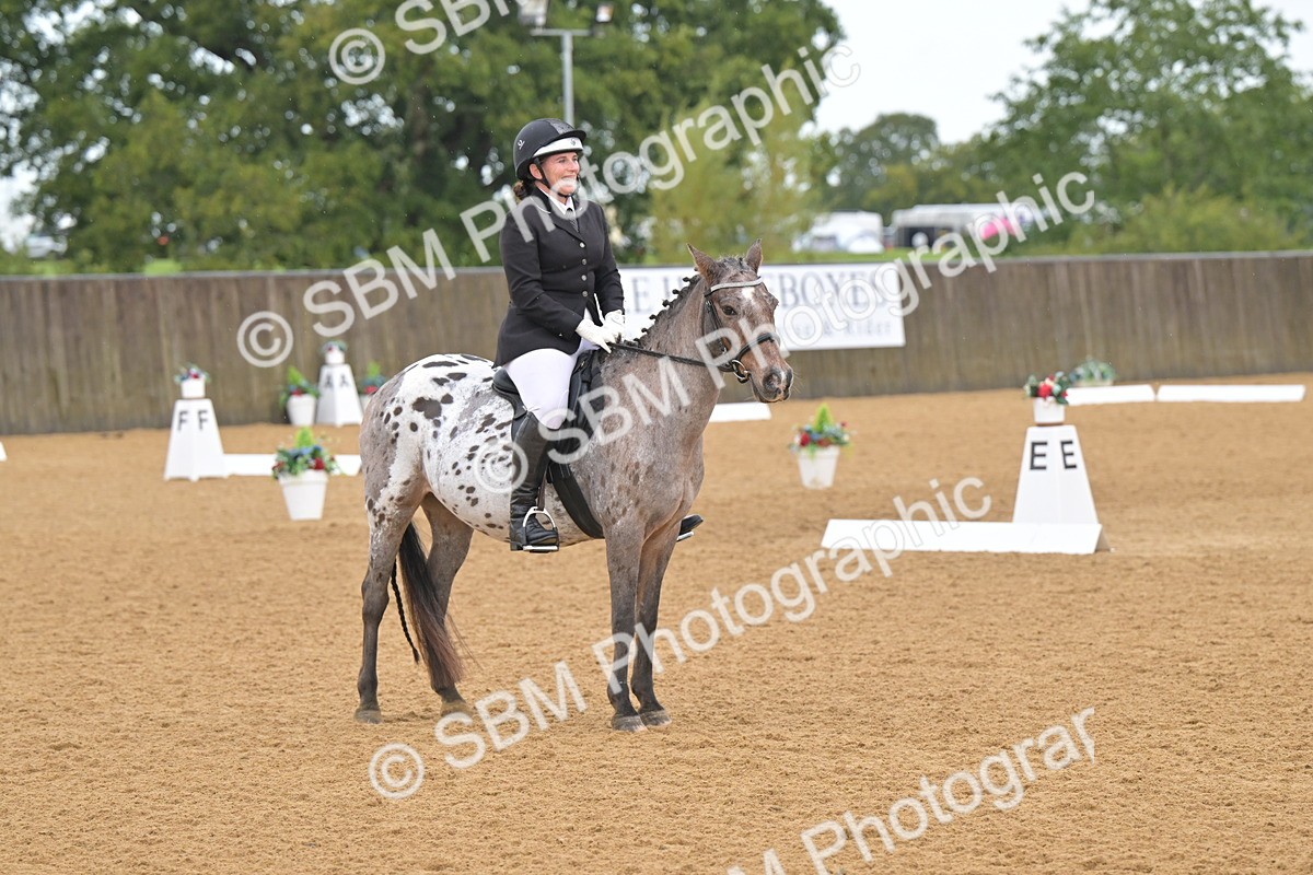 SBM_00512 - D2 - Small Tour Championship Intro 2