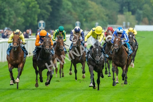 080925-Race 1-Proud Nation-7479 - Race 1 2.30pm Enter ITV7 For Free Confined EBF Maiden Stakes
