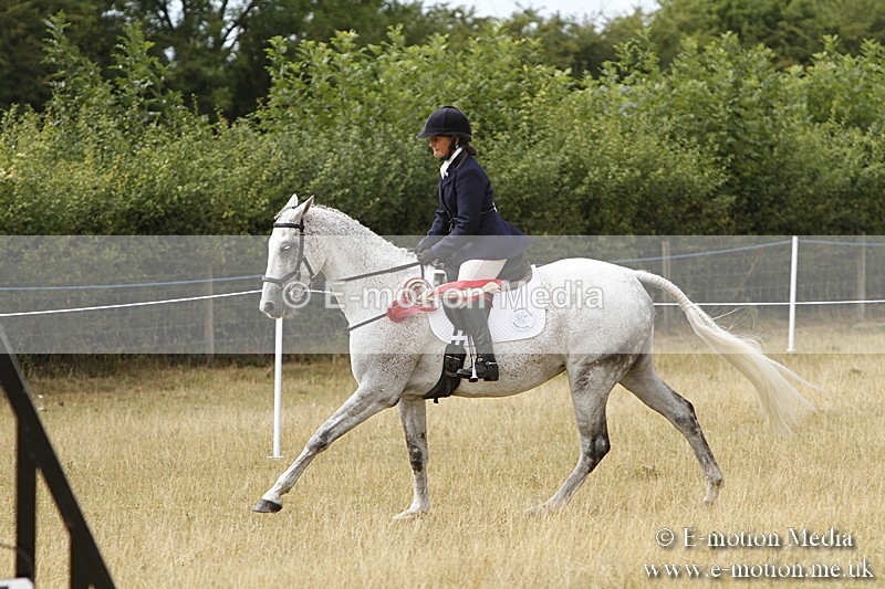 _BS_1033 - Working Hunter Championship BVRC Show 2018
