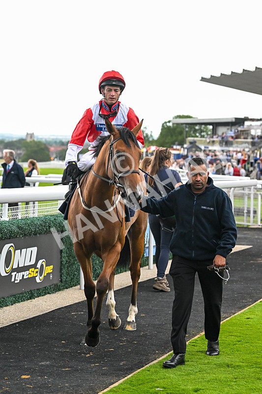 290725-Race 4-Hanney Girl-0482 - Race 4