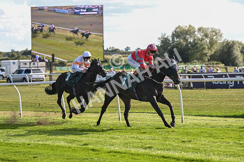 090925-Race 5-Dream Deal-9224 - Race 5