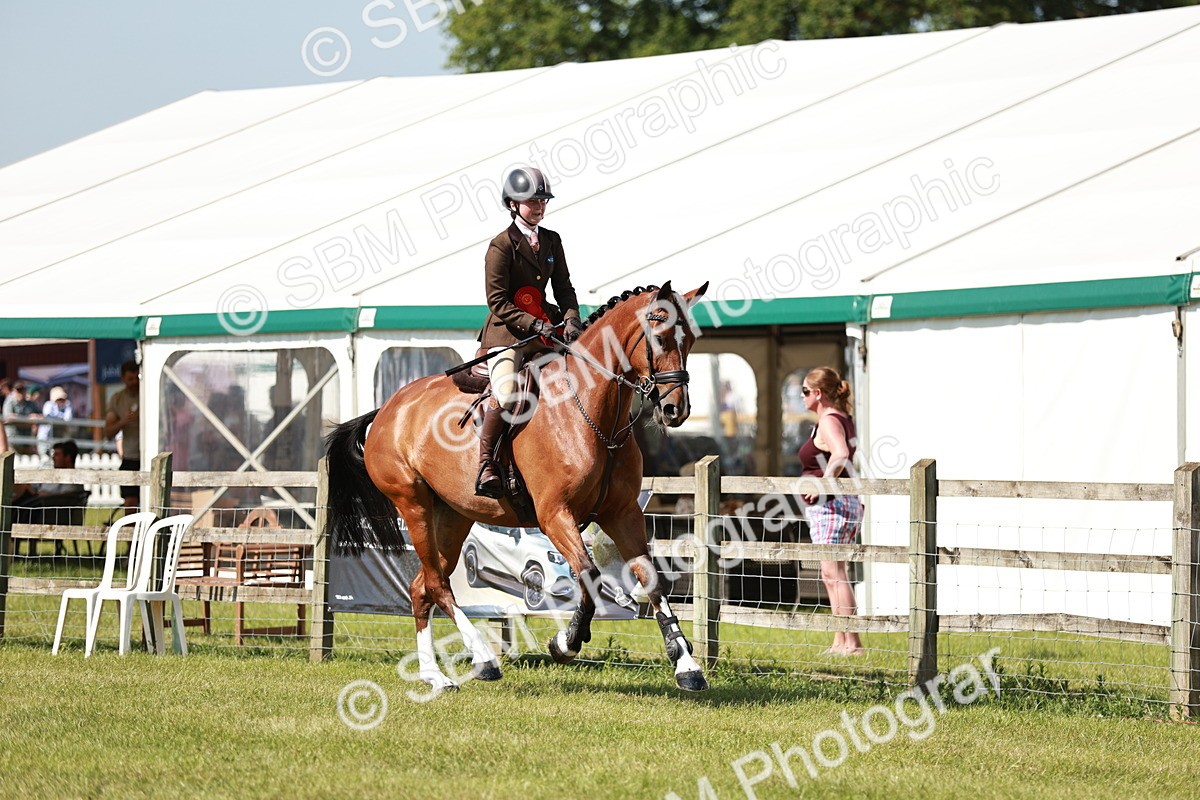 SBM_18486 - Class 112-113 - BSPS LIHS Working Sports Pony