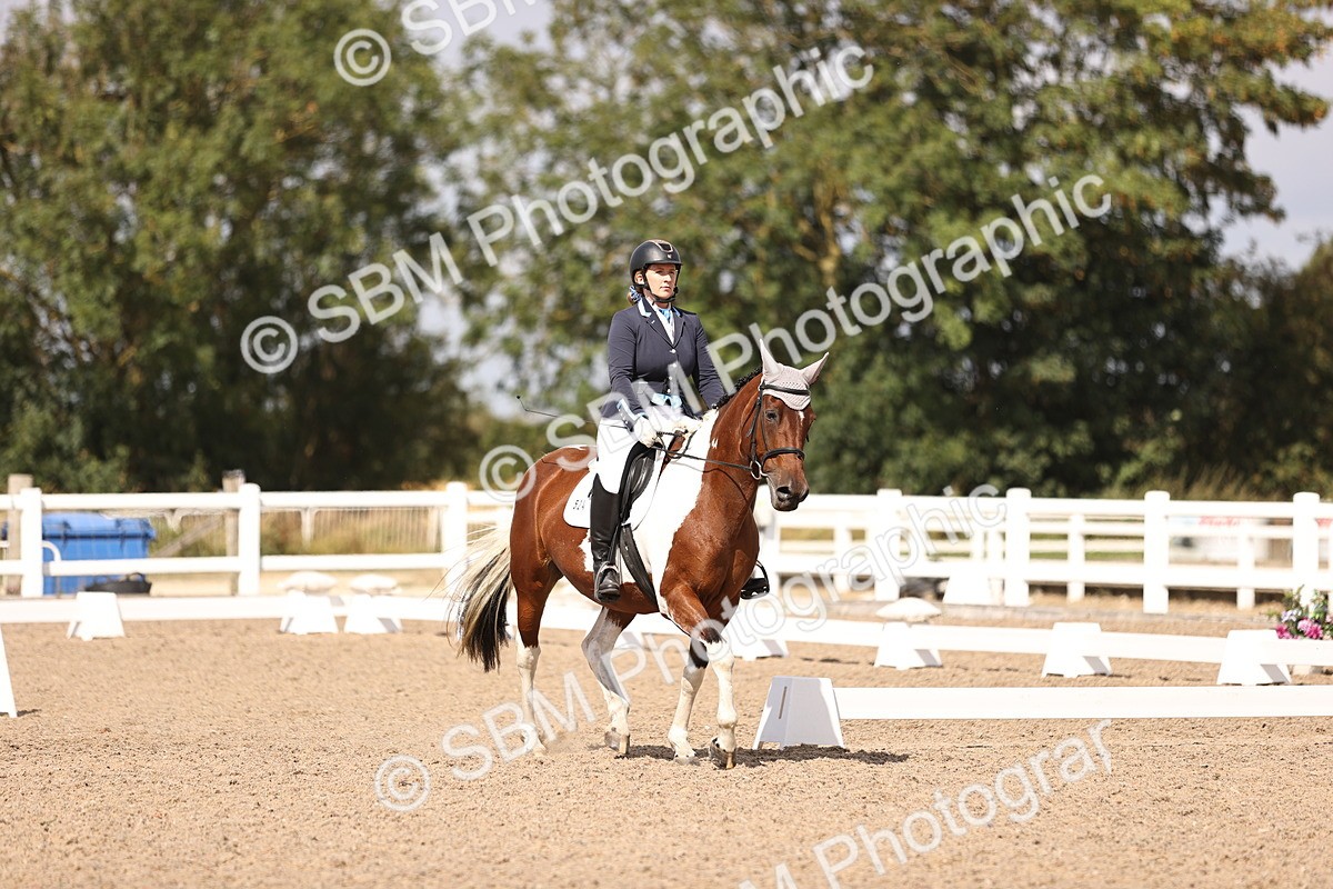 SBM_03703 - CLass 35 Intro 3