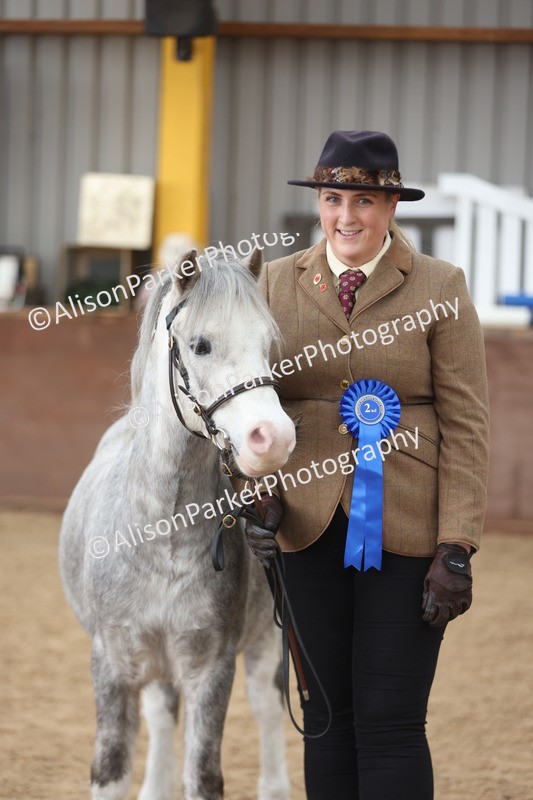 20251109-0681 - Class 22 - Geldings 4 Years and over