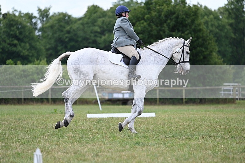 WJ7_5109 - Time 11:22 to 11:51