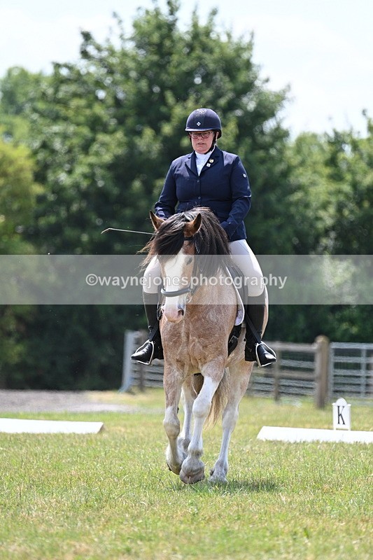 WJ7_8219 - Time 13:35 to 13:40