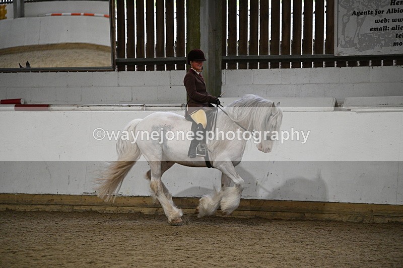 WJ7_4415 - Class 17 Ridden Cob