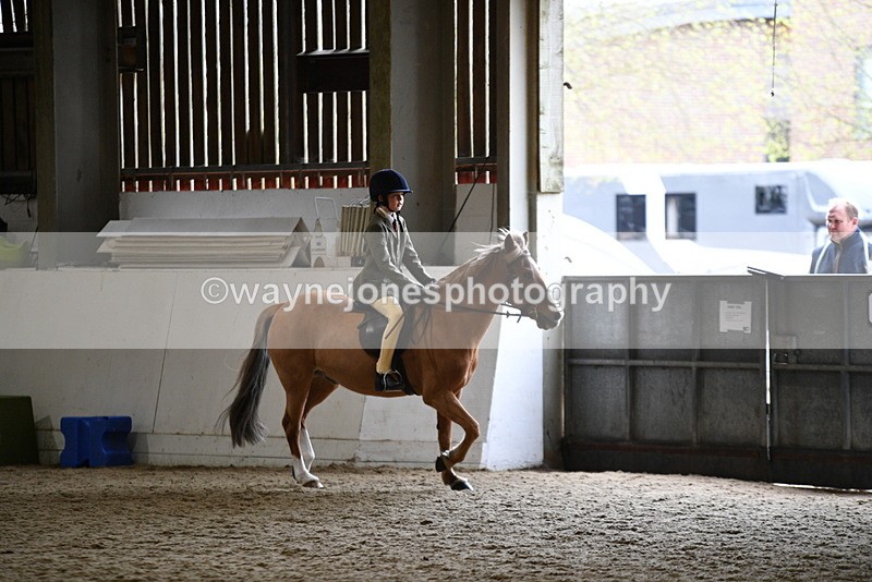 WJ5_6827 - Class 10 Childs Pony