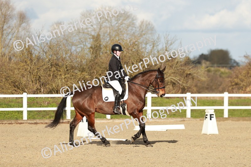 20260314-6256 - CT7 - Elementary 2