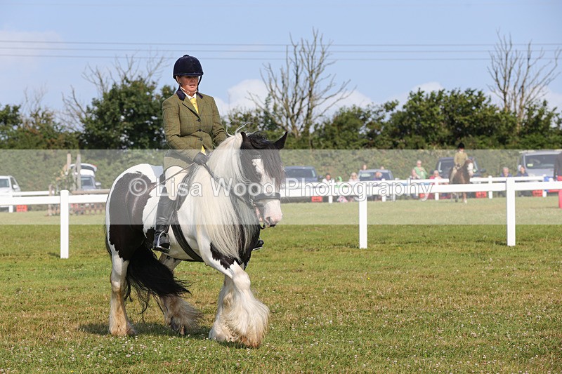 1X9A3347 - Class 28: Ridden Native/Trad Coloured Pony