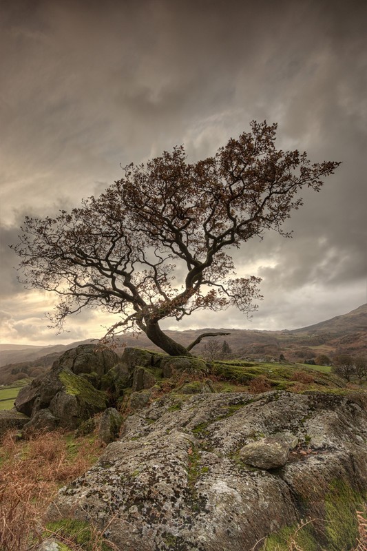 Standing - Distant Hills
