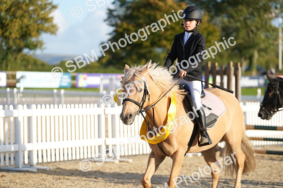 SBM_54079 - J8 - Junior Pony 65cm Championship