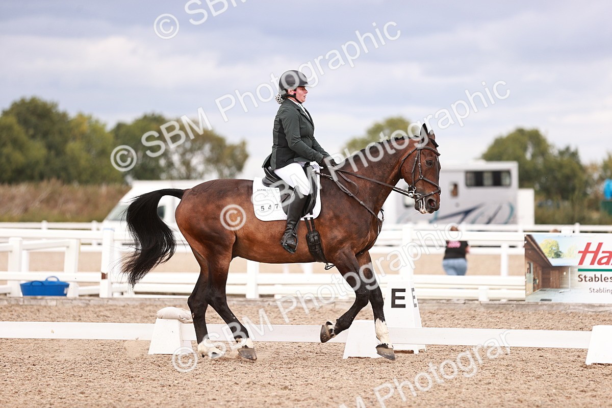 SBM_06358 - Class 37 - Novice 5