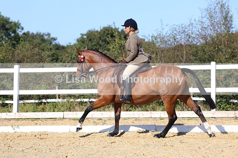 3E7A5745 - Class 10: Riding Horse