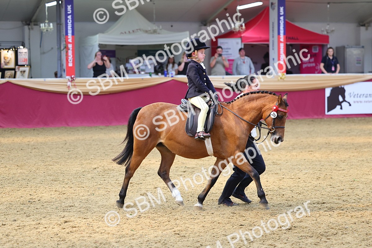 SBM_23999 - Class 905 - Supreme Final - Ridden Veteran