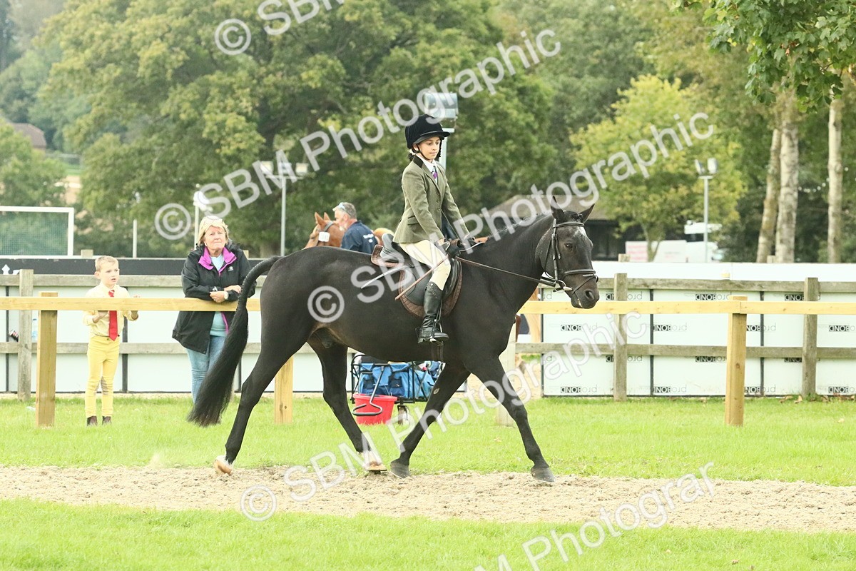 SBM_73982 - S 61 - Show Pony & Show Hunter Pony Ridden