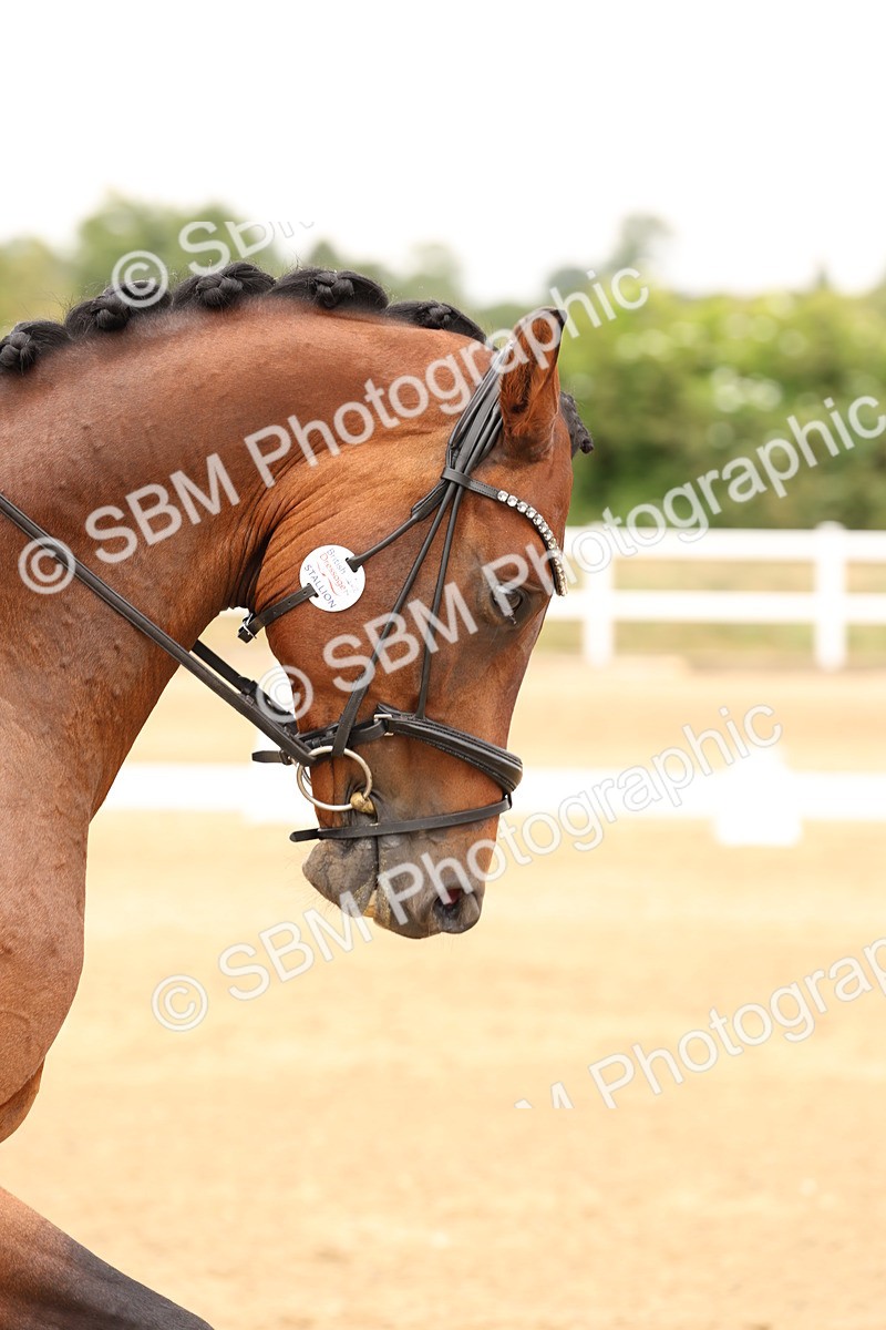 SBM_001788 - Class 4 - Medium 6 Silver - 15.20-16.20