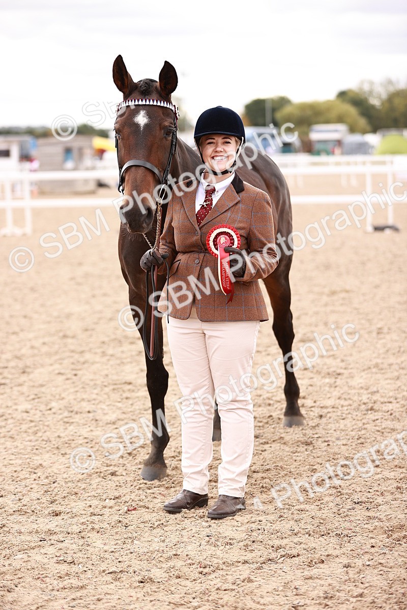 SBM_16140 - Class 411 - Prettiest Mare - (IH or Ridden Adult)