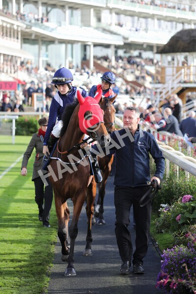 yr07102022r4-16 - Race 4 3.50pm William Hill Best Odds Guaranteed Stakes