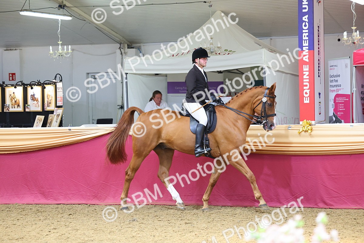 SBM_24045 - Class 905 - Supreme Final - Ridden Veteran