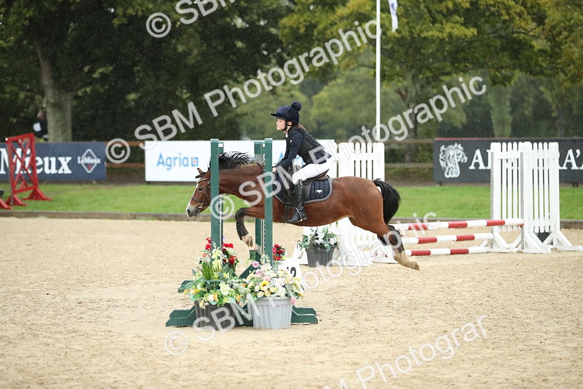 SBM_34337 - J60 Clear Round 50cm