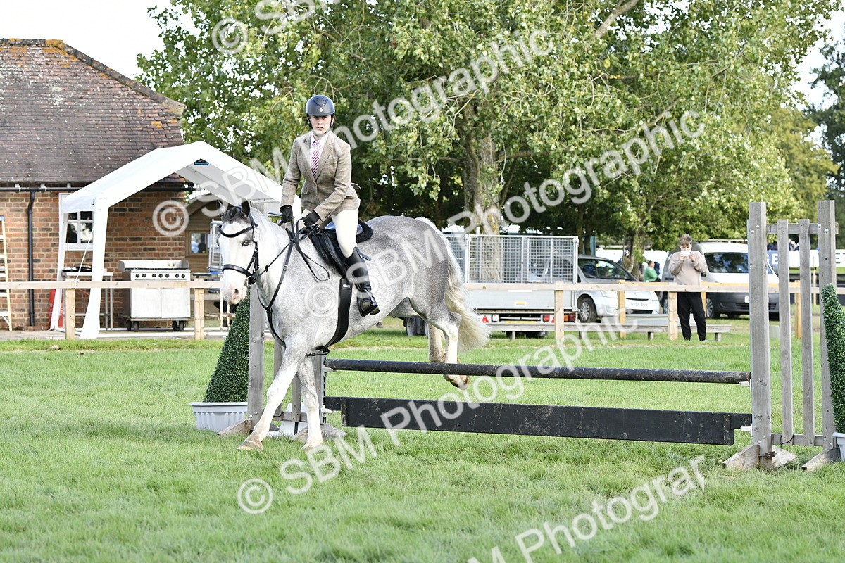 SBM_52187 - S35 - Working Hunter & Working Show Horse