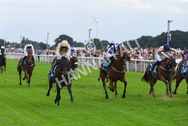 yr04092022r7-26 - Race 7 5.15pm Firmament Stakes