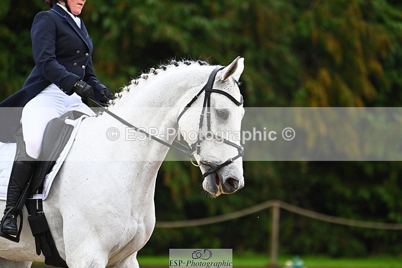 231021-103658-14491 - 230-CHOBELLA-Freddie.Taylor-DR