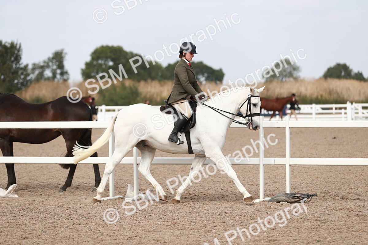 SBM_14810 - Class 212 Ridden Hunter - Small