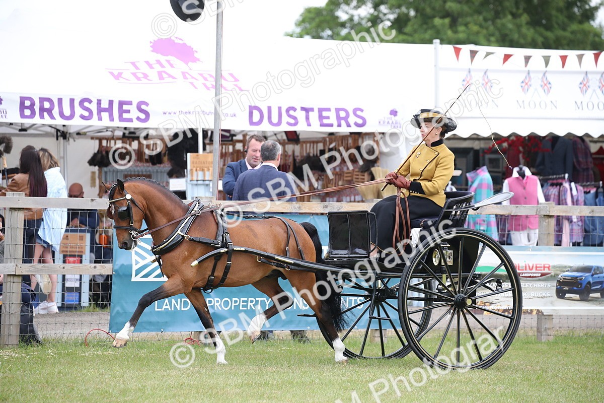 SBM_05851 - Class 12-15 - HOYS Private Driving
