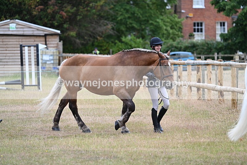 WJ7_9072 - Class 4a Prettiest Mare 14.2hh and over
