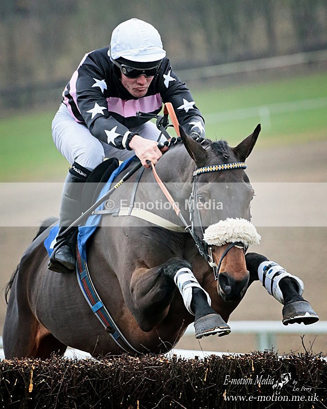 PtP 251118-130a - Equestrian