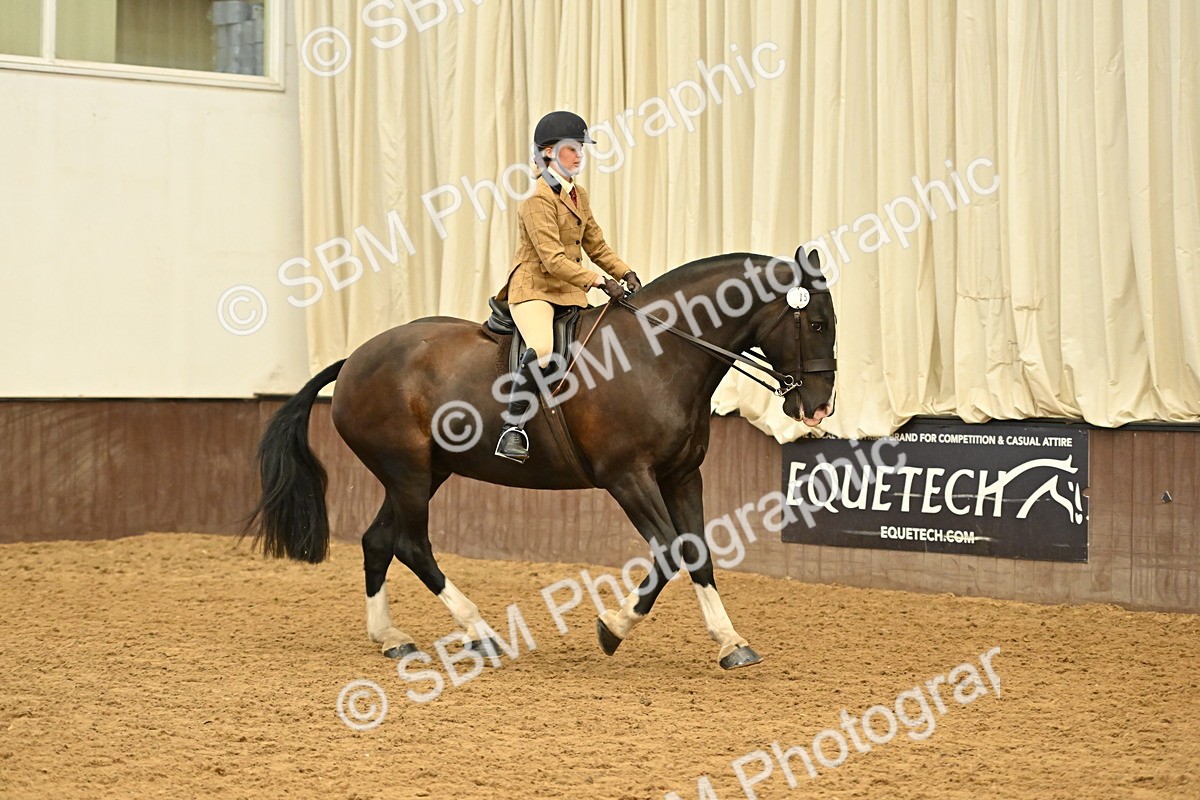 SBM_002018 - Class 21 - BSHA Ridden Show Cob