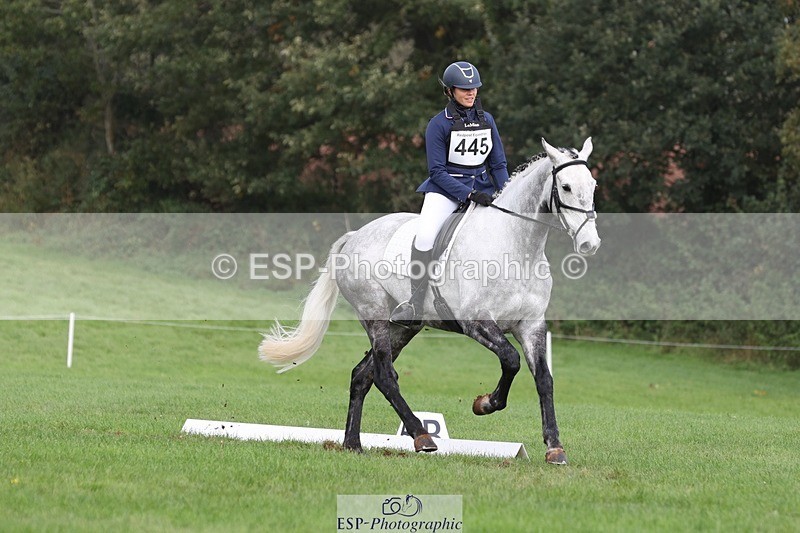 231019-143307-04021 - 445-CRUISING.BORO-Lucy.Knight-DR