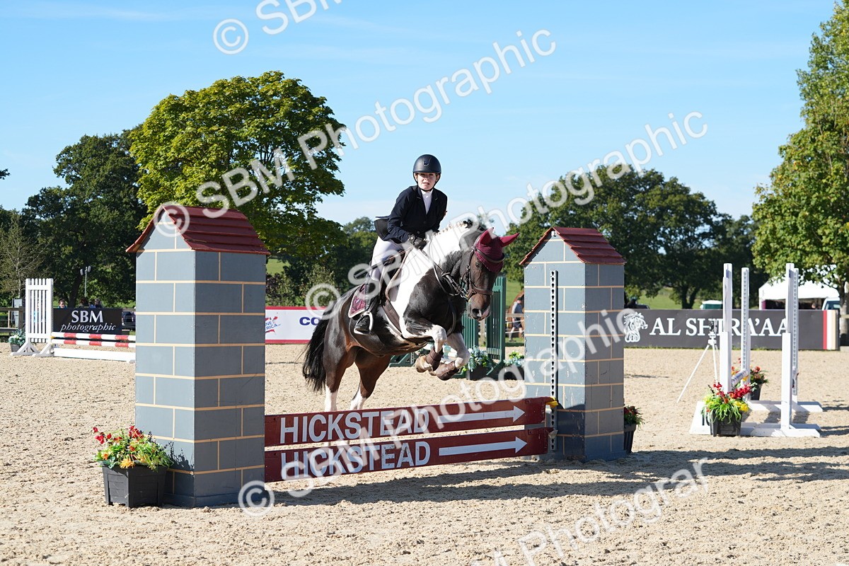 SBM_36170 - J 20 - Junior Horse 50cm Championship