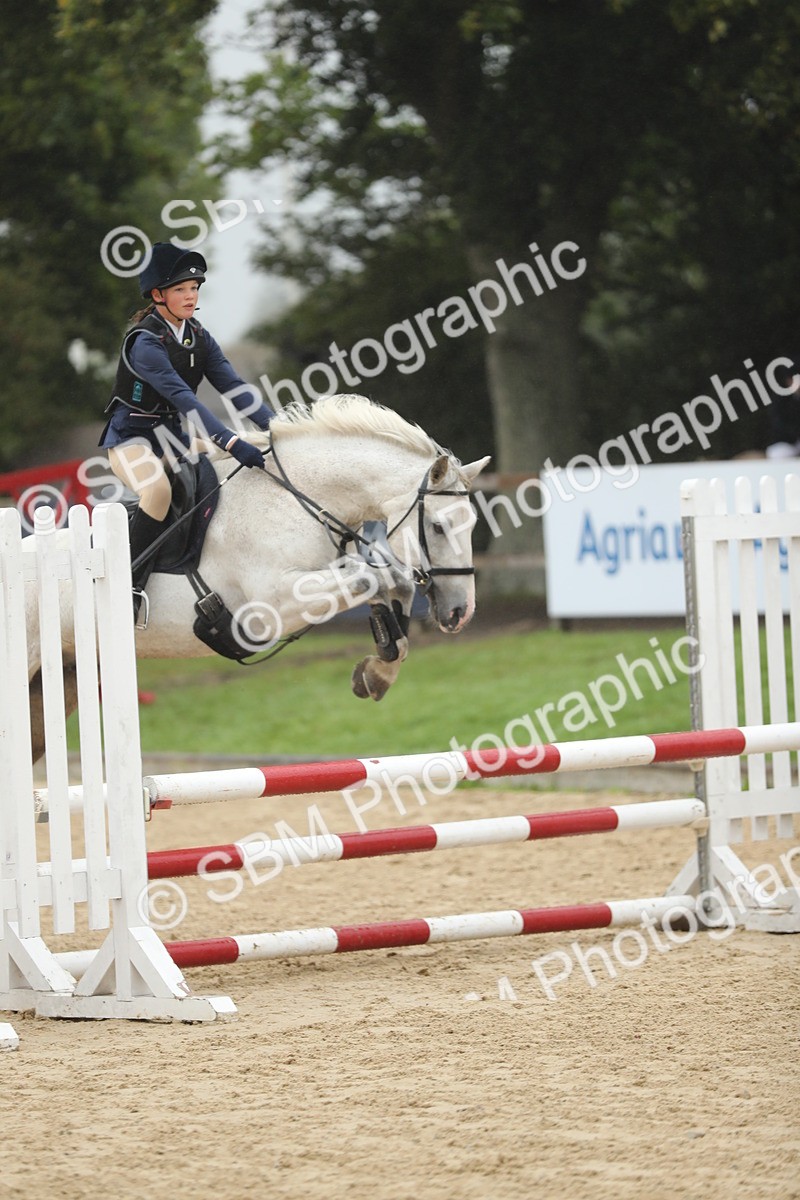 SBM_73952 - J16 - Junior Pony 75cm Championship