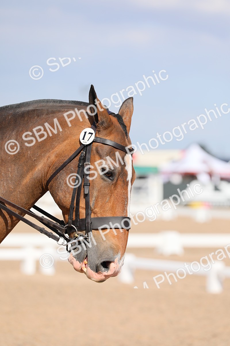 SBM_07645 - Class 33 Elementary 1