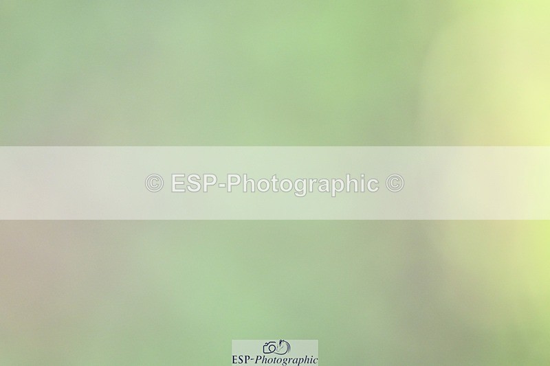 261014-115330-00306 - Cls 04 Senior 1.05m