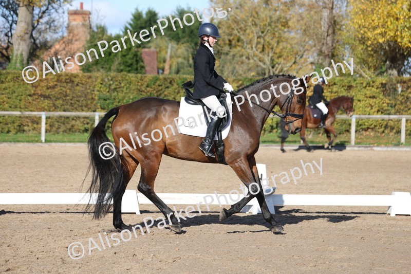 20251102-0883 - Class 5 - Elementary 5