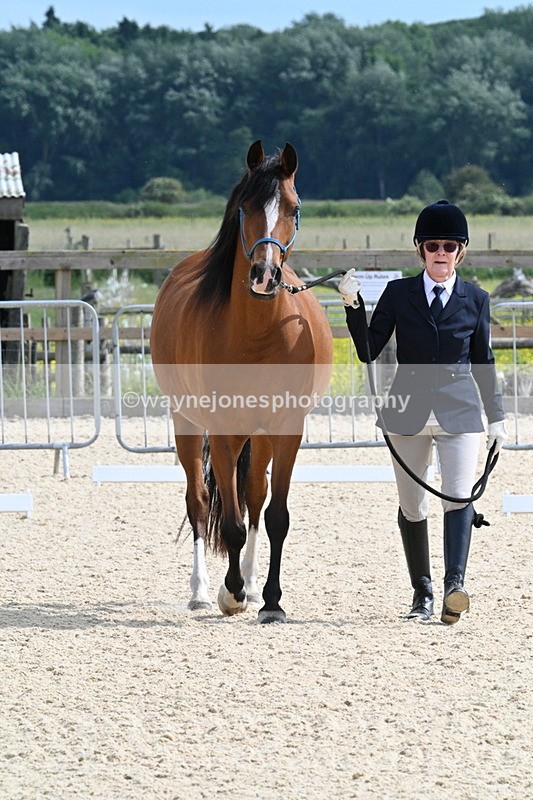 WJ7_8126 - Time 16:10 to 16:25