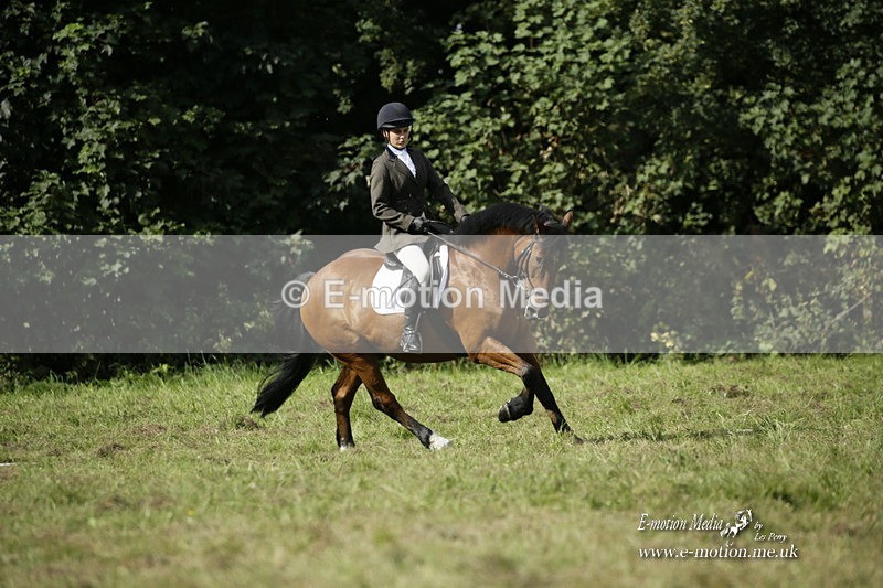 BVRC 120921 330 - Bourne Valley Riding Club UA Dressage & Show Jumping 12/09/21